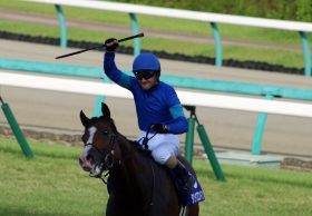 JRA【京王杯SC（G2）展望】タワーオブロンドンVSダノンスマッシュらG1馬4頭が激突！「フライング負傷」のレッドアンシェルも復帰