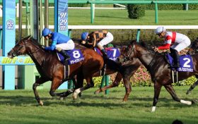 JRAスプリンターズS（G1）タワーオブロンドン完勝に「世界最強」ゴドルフィンもご満悦!? 絶対王者から新王者へ受け継がれた「スプリント王」の系譜