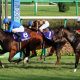JRA「フィエールマンと五分」グローリーヴェイズ京都大賞典(G2)で現役トップ証明?