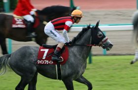 JRAウインブライト「超絶苦手」天皇賞・秋出走明言も「大敗立て直し」困難か