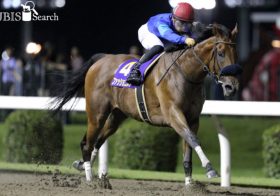 JRA北村友一「女性キャスター」をエスコート!? JBCレディスクラシック（G1）二度生まれるのは「名馬」ではなく「名シーン」