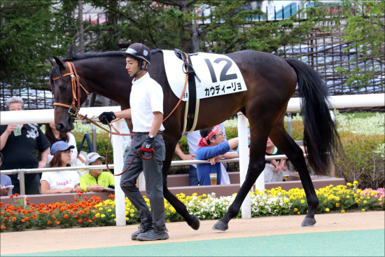 武豊ワールドプレミア「急上昇」JRA菊花賞(G1)直前栗東・美浦情報一挙公開の画像3