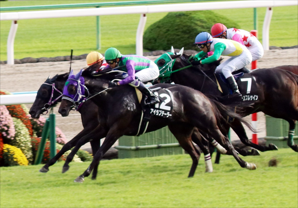 JRAグランアレグリアらマイルG1馬「全切り」! 荒れるG1・高松宮記念「強力現場情報」をもとに三連複「6点」で攻略!の画像3