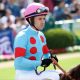 JRAサリオス天皇賞・秋(G1)“自重”は正解? 「ダートではもっとすごい」3歳トップマイラーが歩んだ8年前の「迷走」……
