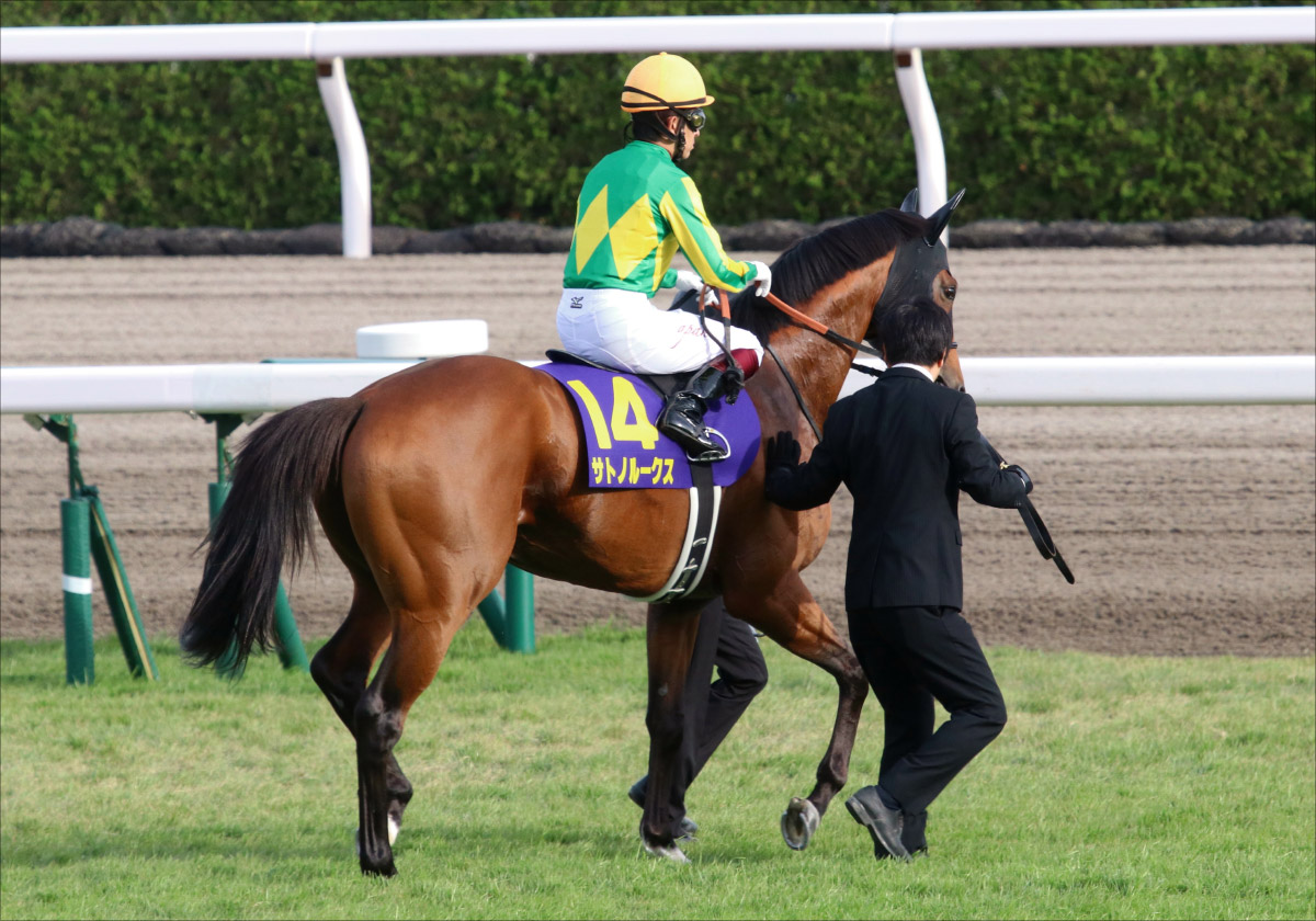 JRA日本ダービー(G1)「おかわり」目黒記念(G2)で大穴狙い!? 混戦を断つのは「前走から斤量4kg減」菊花賞2着の実力馬!【八木遊のフォーメーション馬券予想】の画像2