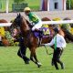 JRA武豊と1戦でコンビ解消のサトノルークス、小倉記念(G3)「川田将雅に乗り替わり」で思い出される9か月前の“悪夢”