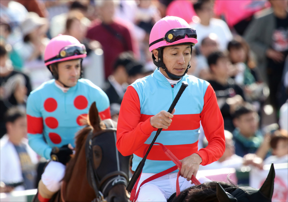 JRA菊花賞(G1)「さぁどうしますかねぇ」 困惑・池添謙一のさらに外!桃色吐息C.ルメールはまるで去年の武豊!?の画像3