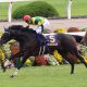 JRA有馬記念(G1)武豊「神判断」でワールドプレミア末脚爆発! サートゥルナーリア復活「3歳馬」躍進の中、惜しまれる「アノ馬」の不在