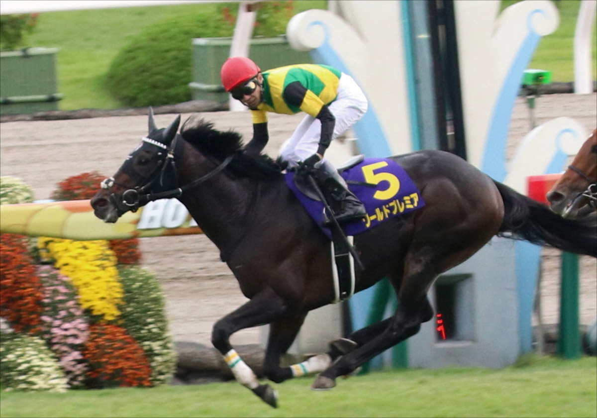 JRA【ジャパンカップ（G1）展望】アーモンドアイVSコントレイルVSデアリングタクト……3冠馬3頭による夢の共演が実現！の画像6