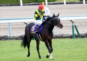 JRA武豊に嬉しい悩み!? 4歳牡馬「最後の希望」ワールドプレミアが待望の復帰！ 秋の古馬G1でアノ馬を天秤にかけることに……