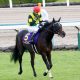 JRA武豊を惑わす「騎乗馬問題」ジャパンC(G1)「ちょっと待ったコール」でキーファーズ参戦!? “こだわり”が織りなす「三つ巴」に発展か