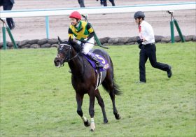 JRA有馬記念（G1）「相性抜群」武豊＆菊花賞馬！ ワールドプレミア騎乗で注目の牝馬2頭を出し抜くか