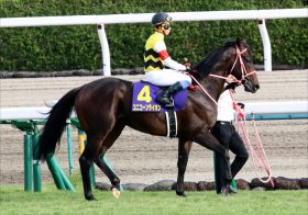 JRAの賞金王・矢作芳人厩舎に「二刀流」のスター候補、ユニコーンライオンのダート出走は「新境地」か、はたまた「調教」か