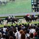 第2のベラジオオペラへ「大本命」がデビュー戦を圧勝! 上村洋行調教師「クラシックへ乗せていきたい」急上昇中のベラジオ軍団から、またも大物誕生か