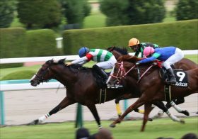 JRA阪神JF（G1）武豊メイケイエールは「半信半疑!?」 非凡なスピードの伏兵登場？ 2歳女王決定戦出走陣営スタッフ（秘）トーーーク!!