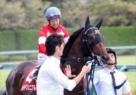 JRA大阪杯（G1）「波乱の主役」はレッドジェニアル!? ダービー馬に先着した実績再び!!