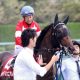 JRA菊花賞(G1)で思い出される名ステイヤー達。メジロマックイーン、ゴールドシップ、日本競馬史に残る長距離戦の王者達とその悲劇