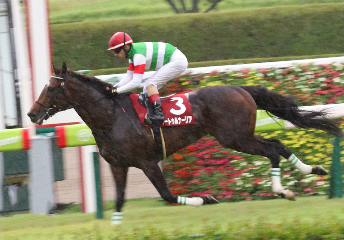 JRA天皇賞・秋（G1）頂上決戦！アーモンドアイVSサートゥルナーリア、勝つのはどっちだ？究極の徹底検証でわかった衝撃の事実！の画像6