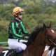JRA「単勝1倍台」グラスワンダーが、マンハッタンカフェが轟沈……「亡霊説」まで飛び出した日経賞(G2)の”魔物”に、今年の大本命馬タイトルホルダーが挑む