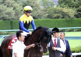 JRA菊花賞（G1）ヴェロックス「距離不安」は血統面よりも……G1「1番人気4連敗」を予感させる主戦・川田将雅の言葉
