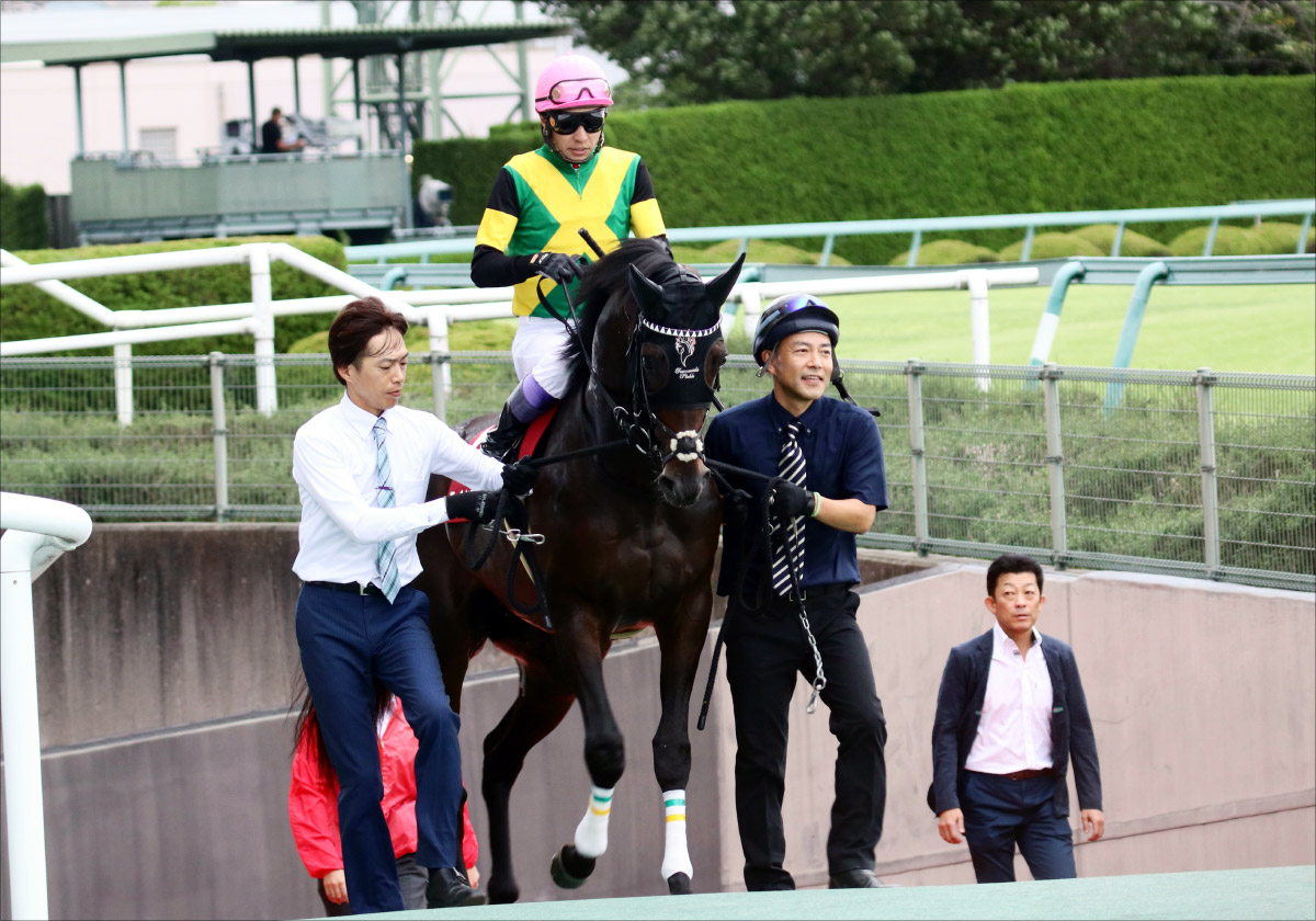 武豊ワールドプレミア「急上昇」JRA菊花賞(G1)直前栗東・美浦情報一挙公開の画像1