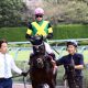 JRAジャパンC(G1)「幻の1番人気」があのレースに出走か!? 「3強」ドリームマッチを尻目に、「史上初」大挑戦プランの可能性が急浮上
