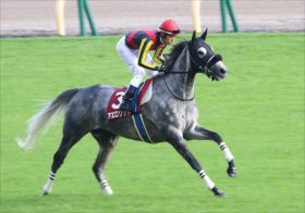 天皇賞・秋（G1）「3着激走」アエロリットの父クロフネ「種牡馬引退」間近……今年「種付けゼロ」未解決の後継問題