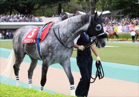JRA有馬記念「爆速ファイナル」アエロリットがやはり怖い理由……陣営不敵「スムーズに走れれば」府中の鬼、最後の快走へ