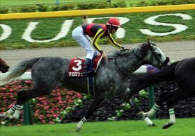 JRA天皇賞・秋（G1）「アーモンドアイ切り再び？」アエロリット好走条件揃い踏みで爆走必至