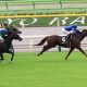 JRA大阪杯(G1)「波乱の主役」はレッドジェニアル!? ダービー馬に先着した実績再び!!