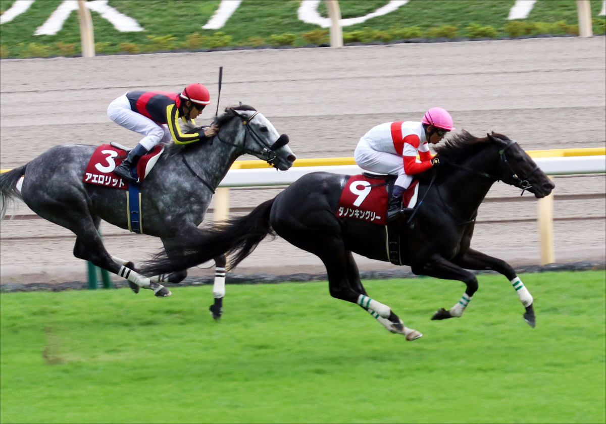 JRA中山記念(G2)が「まるでG1」!? インディチャンプVSウインブライト、最優秀4歳上牡馬と最優秀短距離馬が激突!の画像4