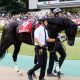 毎日王冠(G2)は1点勝負でOK!? 川田将雅→戸崎圭太のダノンザキッドは減点