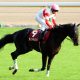JRA 2頭出し「ダノン軍団」の明暗くっきり!? 安田記念(G1)ダノンキングリー激走の陰でダノンプレミアムは「反応が……」、2頭の運命を分けたのは