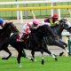【阪急杯(G3)展望】JRAダイアトニックVSフィアーノロマーノ「1400m」スペシャリスト対決か!? 高松宮記念(G1)の有力馬に浮上するのは果たして?
