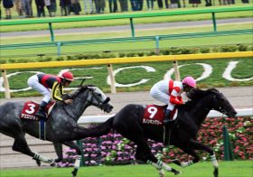 JRAマイルCS（G1）ダノンキングリーはダノンプレミアムより上!? 無類の府中王「あの馬」で完勝はアーモンドアイと本馬だけ！