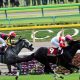 JRAマイルCS(G1)ペルシアンナイト「復調気配」天才マーフィーの手綱に超得意舞台と不気味
