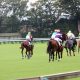 JRA「ダート王」候補がまさかの回避!? フェブラリーS(G1)にもつながる登竜門「1強」不在で混戦模様も、アノ騎手には嬉しい誤算か