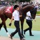 JRA「WIN5」3億円大波乱は「ウマ娘」ナリタブライアン登場がサインだった!? 単勝113倍16番人気コロラトゥーレ約2年ぶり激走の「理由」とは