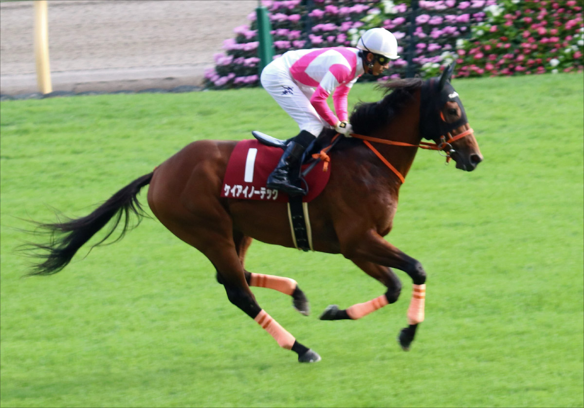 JRAシンザン記念(G3)も「100万馬券」級の大波乱!? アーモンドアイ2世狙う大本命ククナに試練……1番人気惨敗の武豊が分析した「馬場傾向」とはの画像3