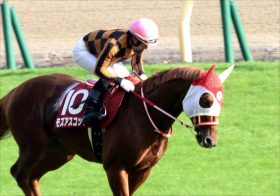 JRAスワンS（G2）は関係者情報決め打ち2点！ モズアスコットより期待したい「爆走不人気馬」