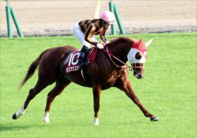 JRA根岸S（G3）モズアスコット 安田記念馬が異例のダート転戦 「頼れる援護射撃」で勝算あり!?