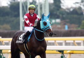 JRA「“伝説”健在」オジュウチョウサン9馬身差レコード圧勝！ 阪神スプリングジャンプ（G2）最優秀障害馬シングンマイケルら寄せ付けず