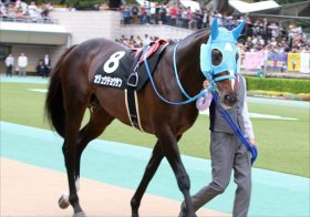 JRA 中山グランドJ（J・G1）「絶対王者」オジュウチョウサンはまだまだ健在！ 11歳でも更新狙える「最後の記録」とは!?