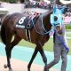 JRA朝日杯FS(G1)ジオグリフ「凡走」は必然だった!? “ルメール忖度” から「距離が延びたら大丈夫」に致命的な采配ミスの匂い