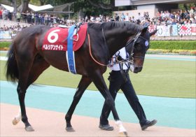 JRA「マーフィーで復活」ペルシアンナイトが香港マイルでも末脚爆発？ 去年は「枠」に泣いたが……