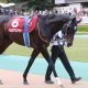 JRA大本命アーモンドアイ8冠に黄色信号!? 安田記念(G1)「単勝1倍台」敗北の歴史と、過去の傾向から浮かび上がるアノ馬!