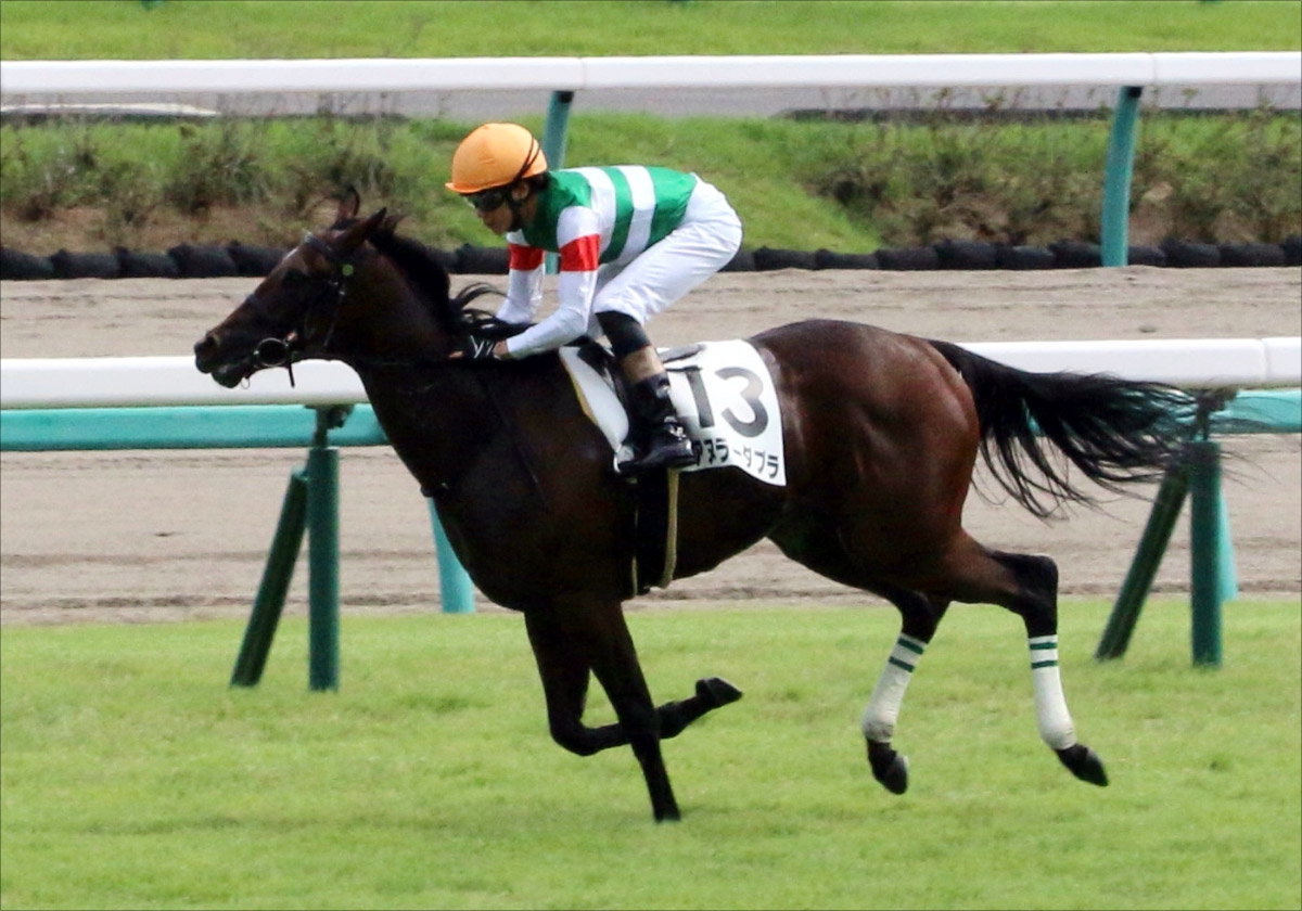 【フェアリーS（G3）展望】「アメリカ帰り」JRAルメールVS「絶好調」マーフィー対決！ オーロラフラッシュかシャインガーネットか？ 荒れる牝馬重賞を制するのは!？の画像2