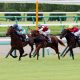 JRA“真顔”の横山典弘に「ギクッ」!? 藤田伸二氏、三浦皇成ダノンスマッシュ乗り替わりにズバリ!! 良血馬の産駒が逝去、元メジャーリーガー・オーナーの悲哀&武豊凱旋門賞挑戦決定【週末GJ人気記事総まとめ】