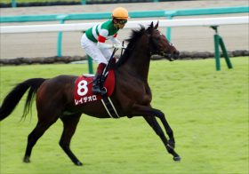 JRAジャパンC（G1）「尻すぼみ回避へ」レイデオロ復権は？ 「雰囲気は春よりもいいですね」だが……