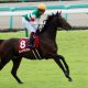 JRAジャパンC(G1)シュヴァルグラン「衰えナシ」スミヨンと得意舞台で躍動しそうな理由